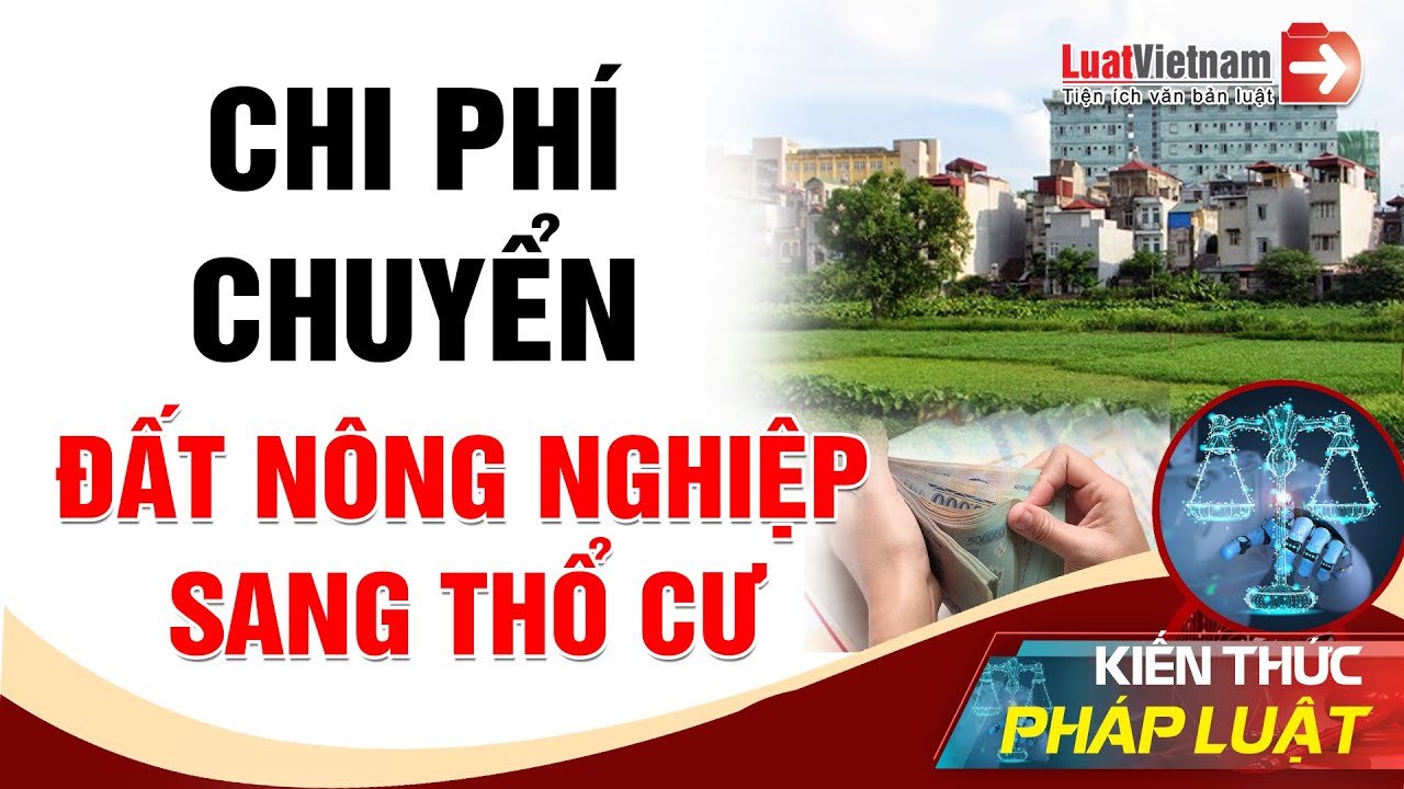 Thủ tục Chuyển Đổi đất hoa màu, trồng cây sang đất Thổ cư Hóc Môn, Củ Chi, Bình Chánh tương đối phức tạp. mời các bạn cùng tìm hiểu thêm về các vấn đề liên quan